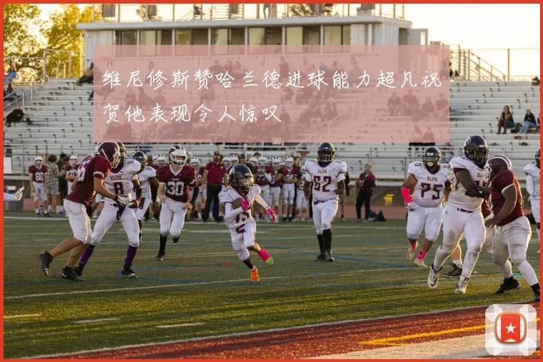 维尼修斯赞哈兰德进球能力超凡祝贺他表现令人惊叹